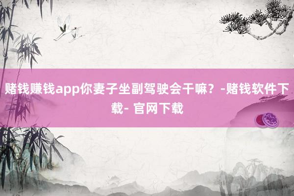 赌钱赚钱app你妻子坐副驾驶会干嘛？-赌钱软件下载- 官网下载