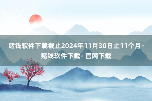 赌钱软件下载截止2024年11月30日止11个月-赌钱软件下载- 官网下载